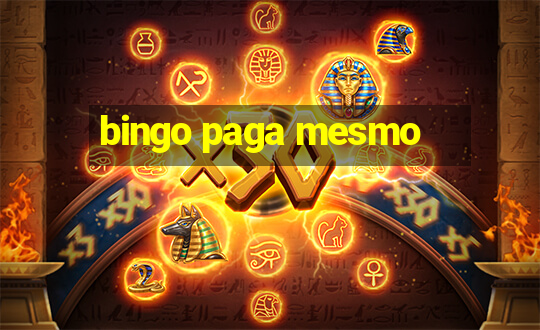 bingo paga mesmo