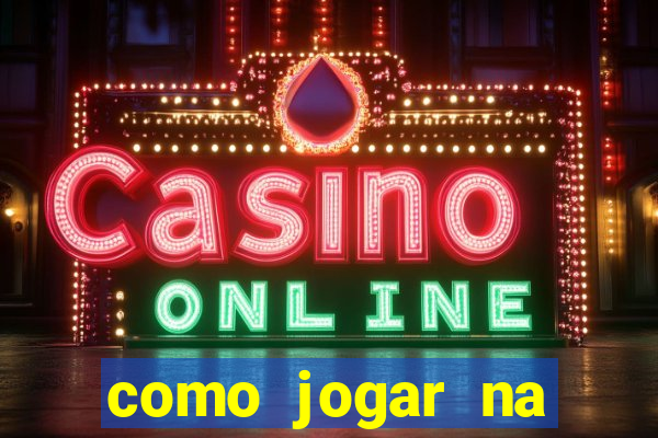 como jogar na bolsa online