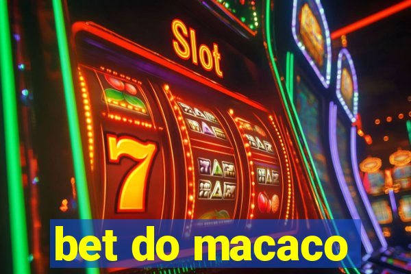 bet do macaco