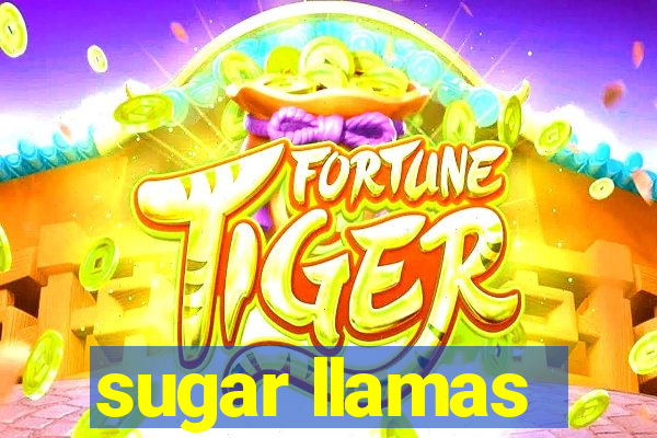 sugar llamas