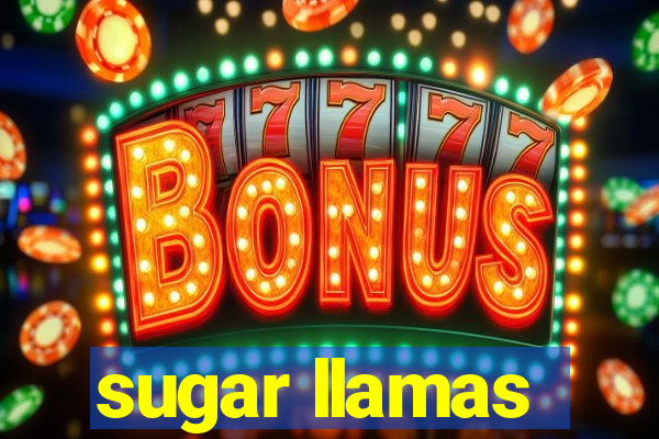 sugar llamas