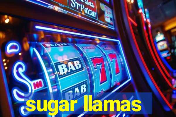 sugar llamas