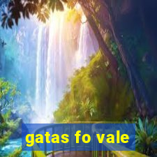 gatas fo vale