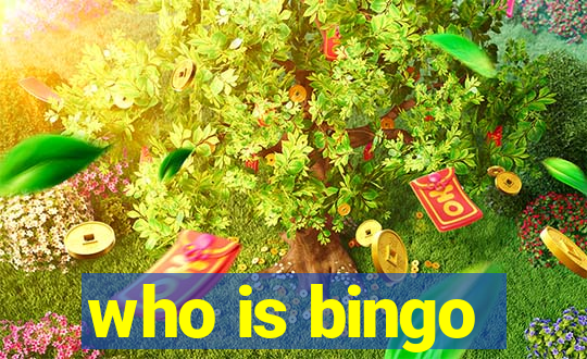 who is bingo