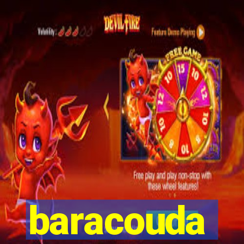 baracouda