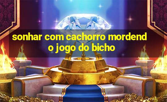 sonhar com cachorro mordendo jogo do bicho