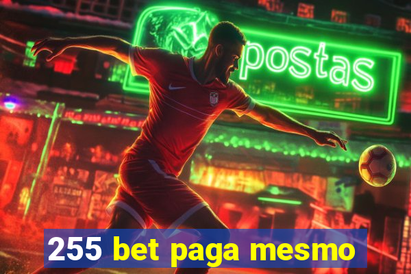 255 bet paga mesmo