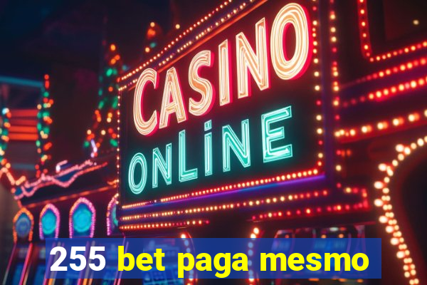 255 bet paga mesmo