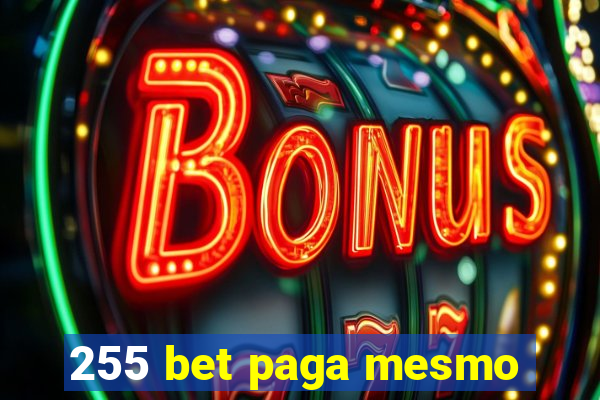 255 bet paga mesmo