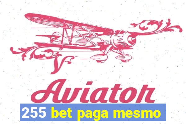 255 bet paga mesmo