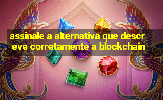 assinale a alternativa que descreve corretamente a blockchain