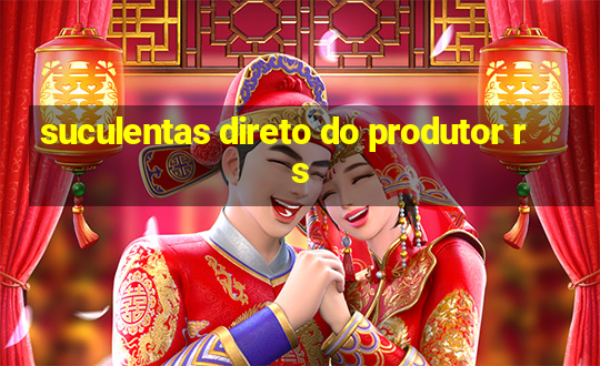 suculentas direto do produtor rs