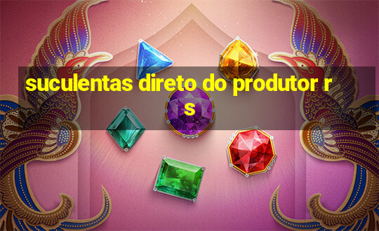 suculentas direto do produtor rs