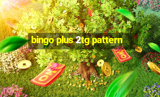 bingo plus 2tg pattern