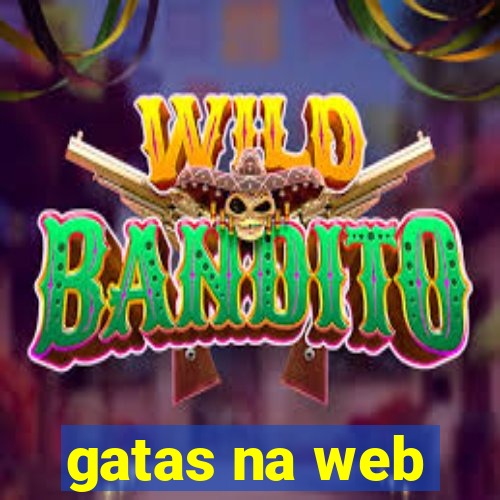 gatas na web