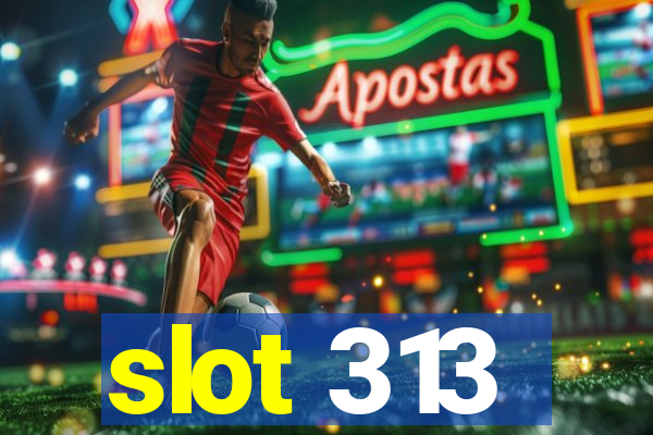 slot 313