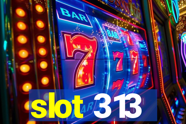 slot 313