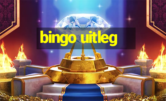 bingo uitleg