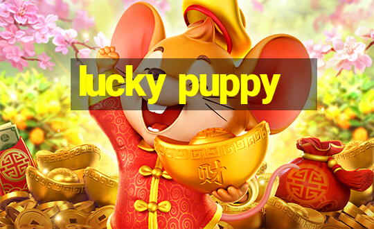 lucky puppy