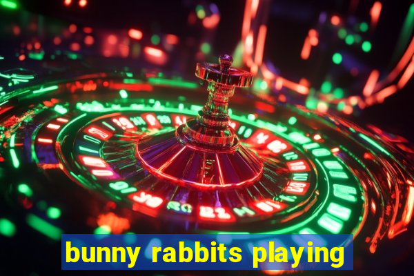 bunny rabbits playing