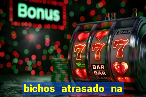 bichos atrasado na loteria dos sonhos