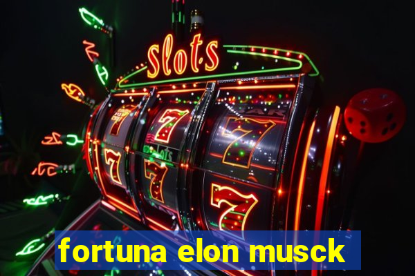 fortuna elon musck