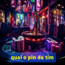 qual o pin da tim