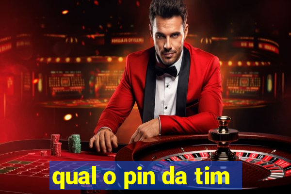 qual o pin da tim