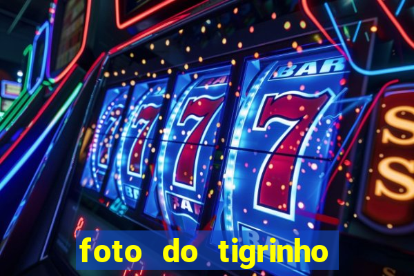 foto do tigrinho do jogo