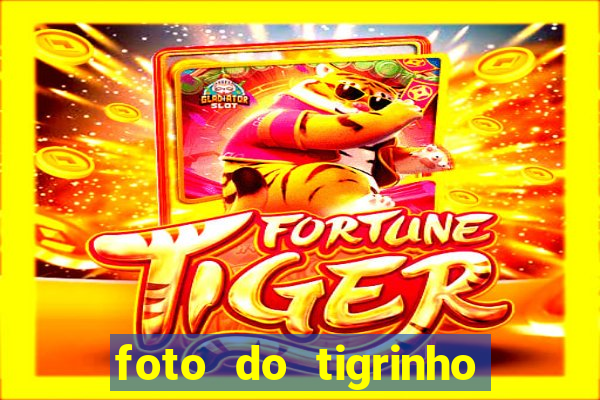 foto do tigrinho do jogo