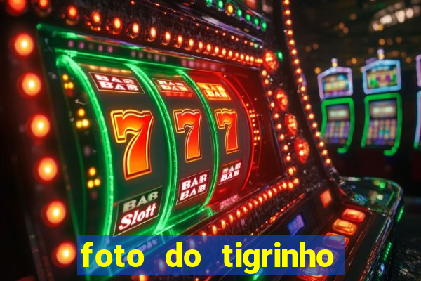 foto do tigrinho do jogo