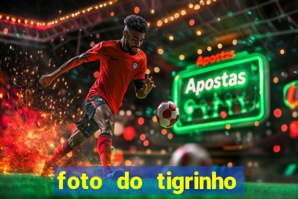 foto do tigrinho do jogo