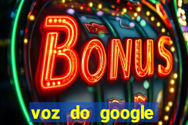 voz do google tradutor homem