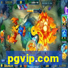 pgvip.com