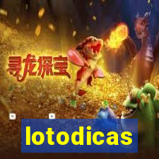 lotodicas