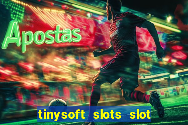 tinysoft slots slot machines & casino games