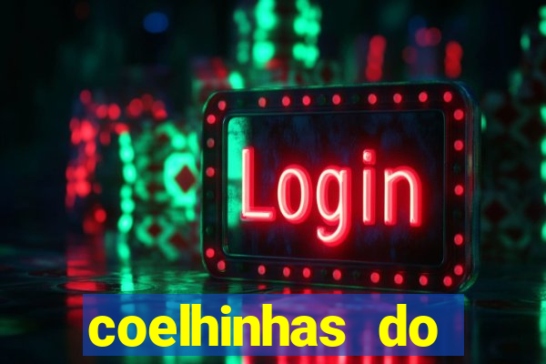 coelhinhas do brasil acompanhantes