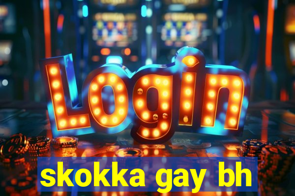 skokka gay bh