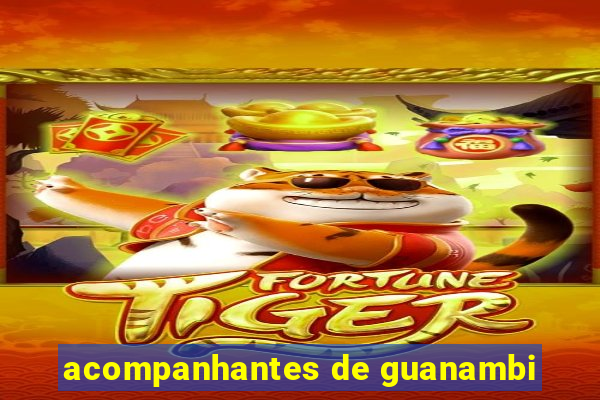 acompanhantes de guanambi