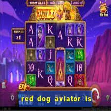 red dog aviator is real or fake