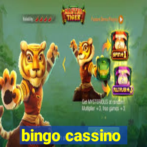 bingo cassino