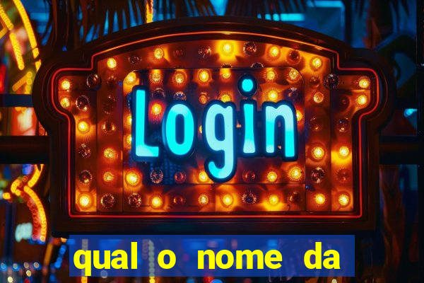 qual o nome da casinha do pinguim