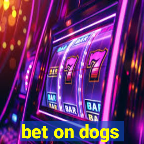 bet on dogs