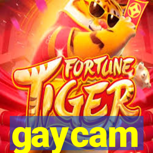 gaycam