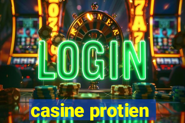 casine protien