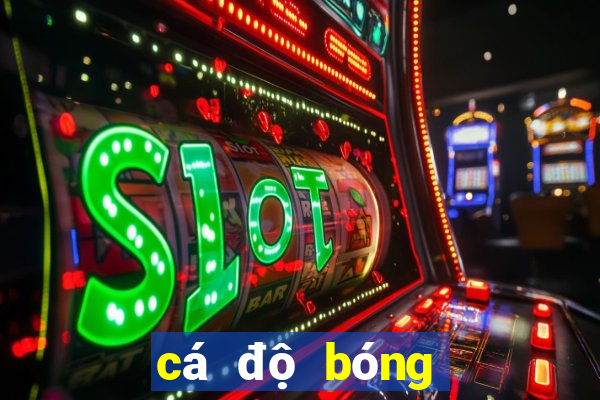 cá độ bóng đá online