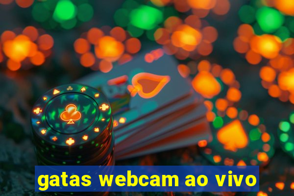 gatas webcam ao vivo