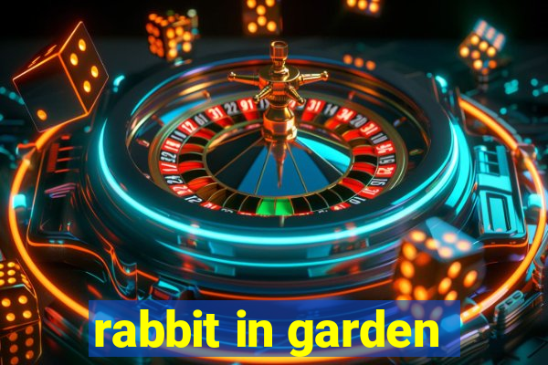 rabbit in garden