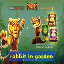 rabbit in garden