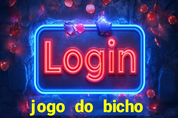 jogo do bicho crash bingo